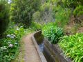 Madeira0882.JPG